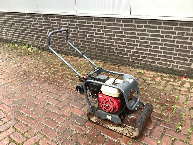 2004 pen 16c trilplaat - afbeelding 1 van  5