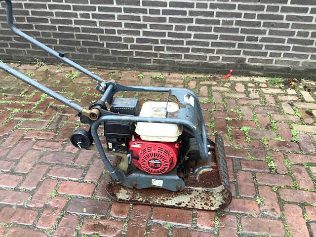 2004 pen 16c trilplaat - afbeelding 2 van  5