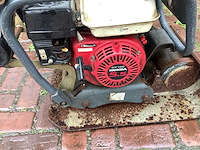 2004 pen 16c trilplaat - afbeelding 5 van  5