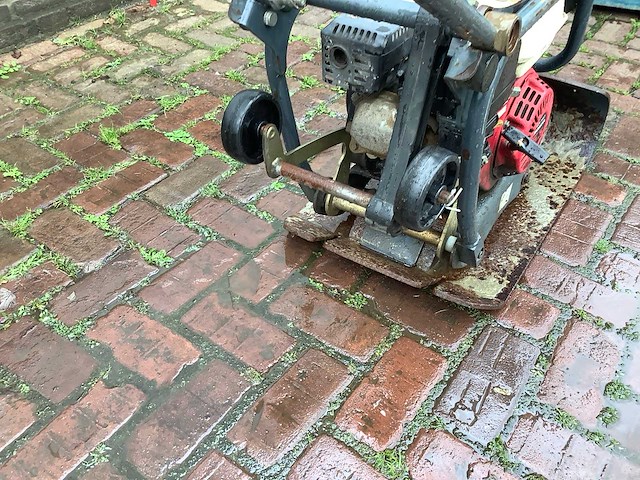 2004 pen 16c trilplaat - afbeelding 4 van  5