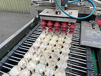 2004 prinzen psp 30/150 rb eieren inpakmachine - afbeelding 6 van  27