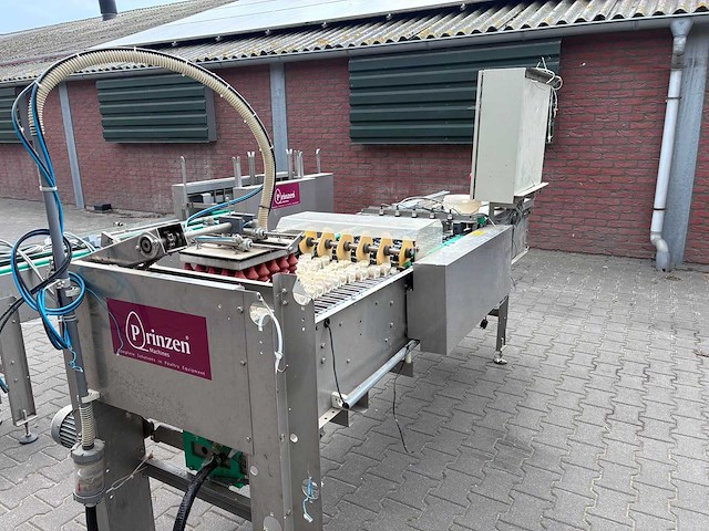 2004 prinzen psp 30/150 rb eieren inpakmachine - afbeelding 8 van  27
