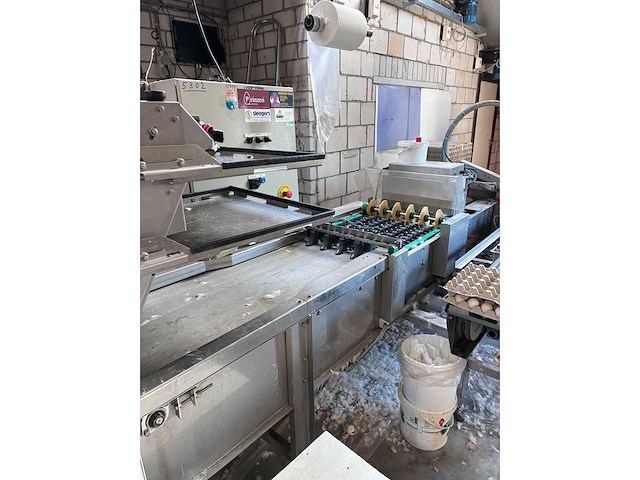 2004 prinzen psp 30/150 rb eieren inpakmachine - afbeelding 23 van  27