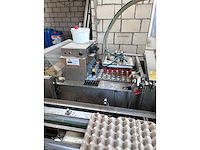 2004 prinzen psp 30/150 rb eieren inpakmachine - afbeelding 24 van  27