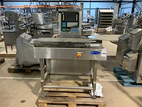 2005 delford 810c checkweigher - afbeelding 2 van  5
