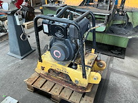 2005 masalta trilplaat - afbeelding 4 van  4