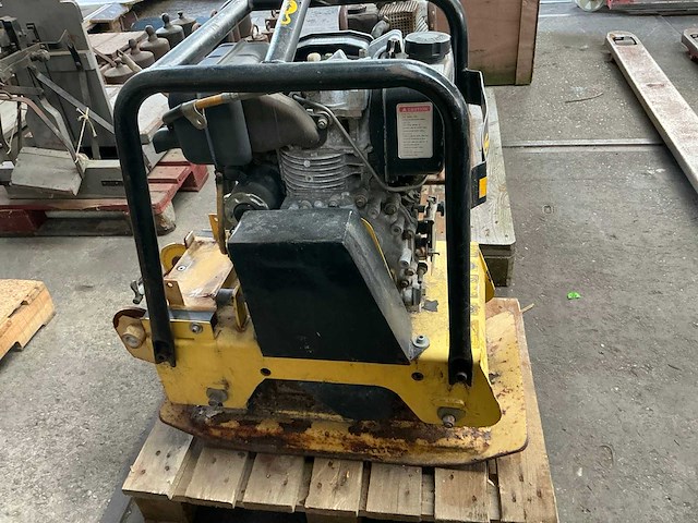 2005 masalta trilplaat - afbeelding 3 van  4