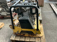 2005 masalta trilplaat - afbeelding 3 van  4