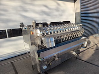 2005 newtec 2014d multihead wegers- en verpakker - afbeelding 4 van  7