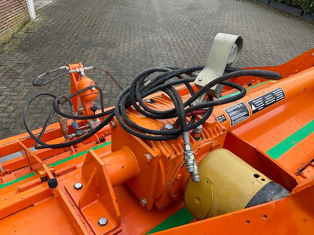 2005 struik 4rf310 ruggenfrees - afbeelding 3 van  13