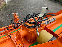 2005 struik 4rf310 ruggenfrees - afbeelding 3 van  13