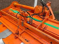 2005 struik 4rf310 ruggenfrees - afbeelding 4 van  13