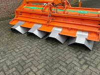2005 struik 4rf310 ruggenfrees - afbeelding 5 van  13