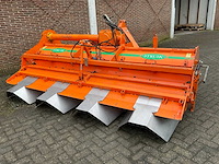2005 struik 4rf310 ruggenfrees - afbeelding 1 van  13