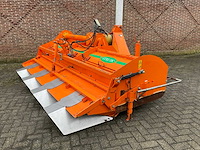 2005 struik 4rf310 ruggenfrees - afbeelding 6 van  13