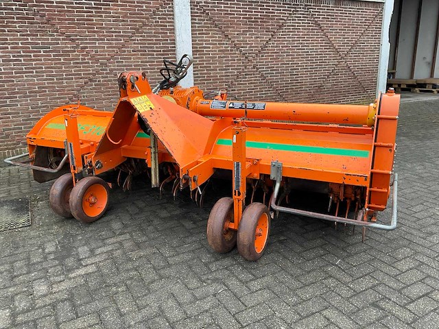 2005 struik 4rf310 ruggenfrees - afbeelding 7 van  13