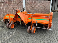 2005 struik 4rf310 ruggenfrees - afbeelding 7 van  13