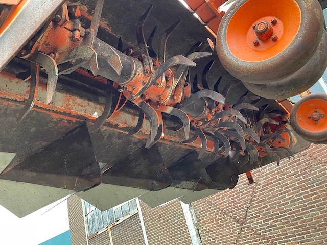 2005 struik 4rf310 ruggenfrees - afbeelding 8 van  13