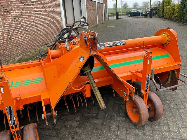 2005 struik 4rf310 ruggenfrees - afbeelding 9 van  13