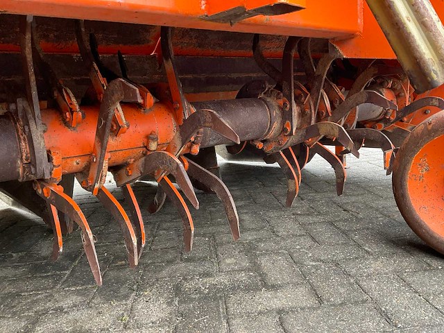 2005 struik 4rf310 ruggenfrees - afbeelding 10 van  13