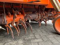 2005 struik 4rf310 ruggenfrees - afbeelding 10 van  13