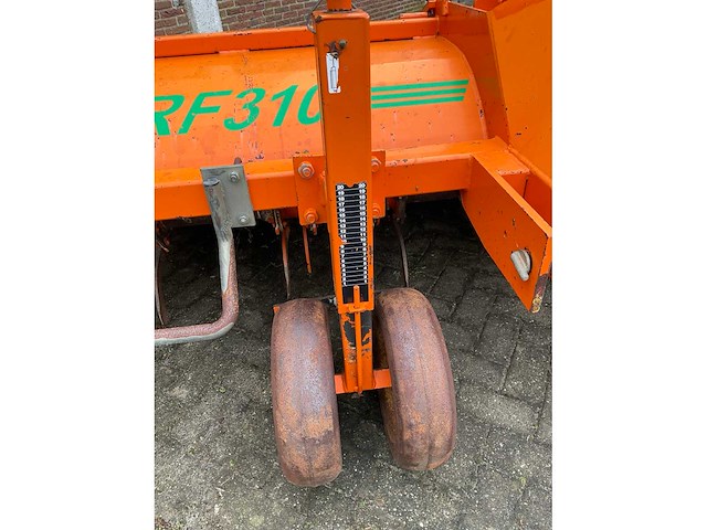 2005 struik 4rf310 ruggenfrees - afbeelding 12 van  13