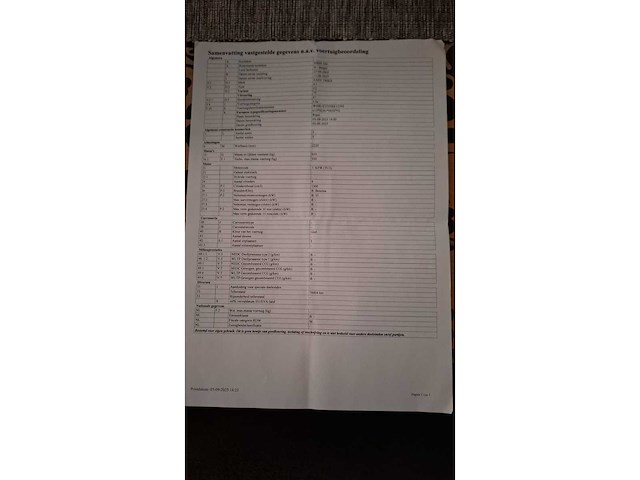 2006 easy trike e1 trike - afbeelding 20 van  27