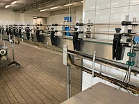 2006 polyketting flessen transportband 27 meter - afbeelding 11 van  12