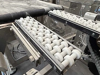 2007 - rovema eti 443 automatische tray-/displayverpakkingsmachine - afbeelding 255 van  279