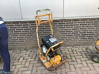 2007 ammann trilplaat - afbeelding 1 van  8