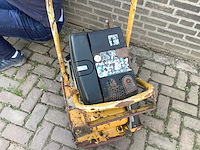 2007 ammann trilplaat - afbeelding 4 van  8