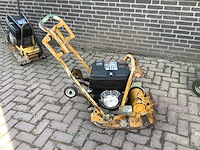 2007 ammann trilplaat - afbeelding 7 van  8