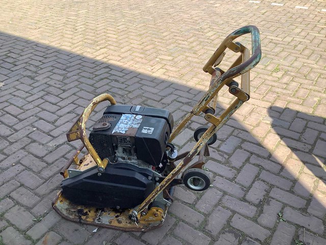 2007 ammann trilplaat - afbeelding 8 van  8