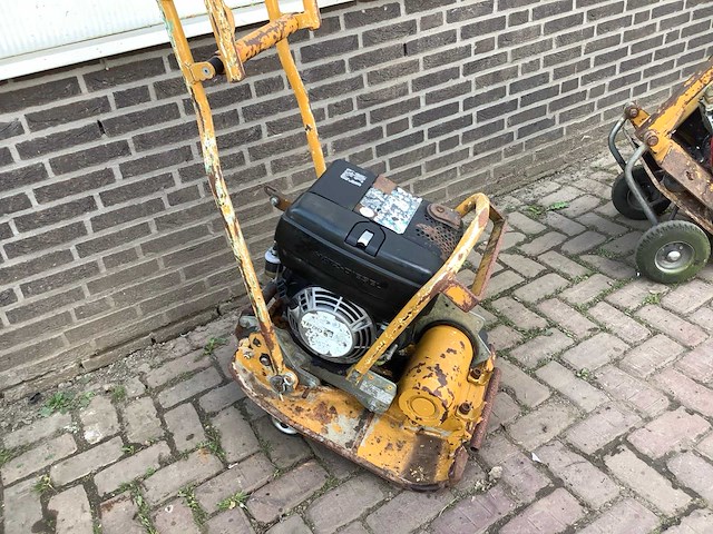 2007 ammann trilplaat - afbeelding 2 van  8