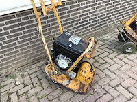 2007 ammann trilplaat - afbeelding 2 van  8