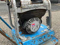 2007 weber cf4/60 trilplaat - afbeelding 6 van  7