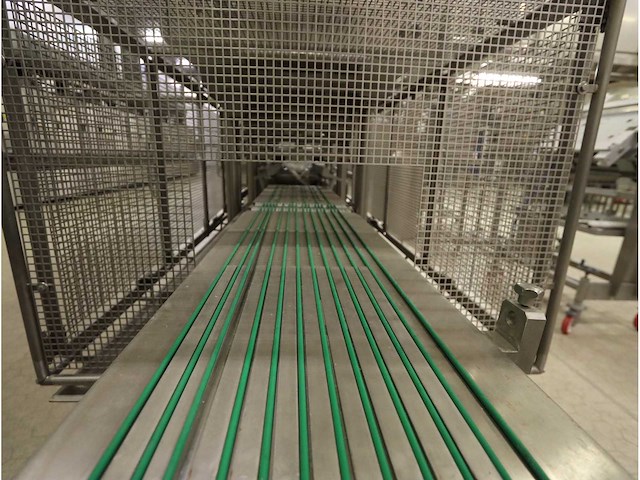 2008 g. mondini e 365 t trayseal verpakkingslijn - afbeelding 16 van  20