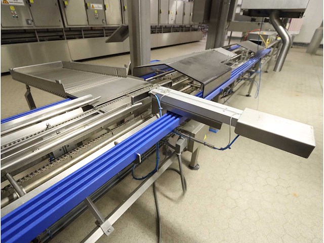 2008 g. mondini e 365 t trayseal verpakkingslijn - afbeelding 3 van  20