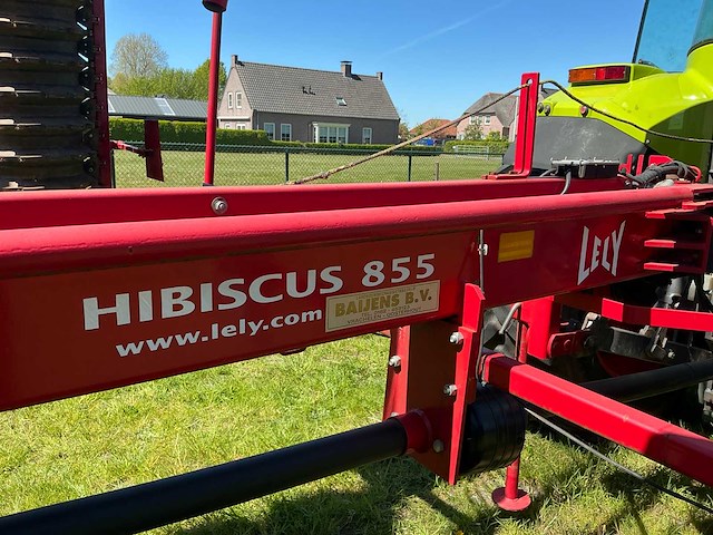 2008 lely hibiscus 855 dubbele hark - afbeelding 9 van  19