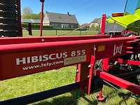 2008 lely hibiscus 855 dubbele hark - afbeelding 9 van  19