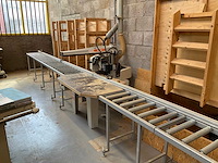 2008 maggi junior 640 radiaalzaagmachine met aan- en afvoerrollenband