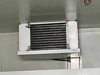 2008 pegas container koelcontainer / vriescontainer - afbeelding 6 van  12