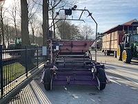 2008 pink innovation the pink planter bloembollen nettenplanter - afbeelding 14 van  19