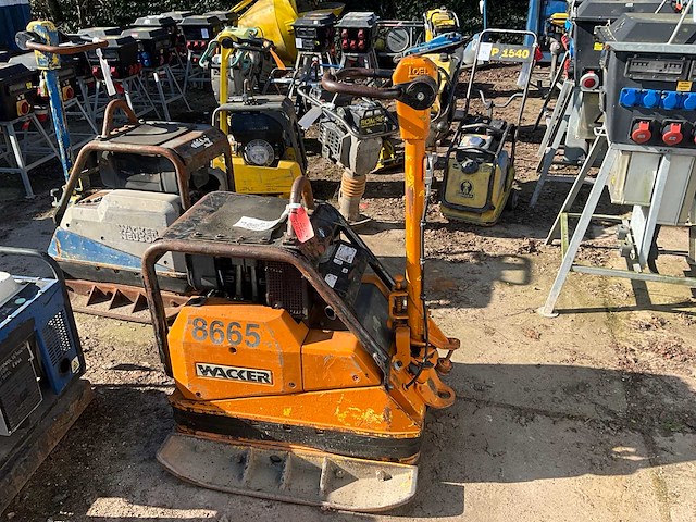 2008 wacker-neuson d81s trilplaat - afbeelding 3 van  7