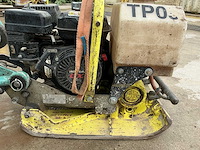2009 ammann trilplaat - afbeelding 6 van  9