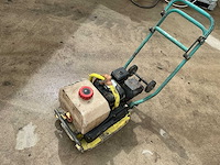 2009 ammann trilplaat - afbeelding 3 van  9