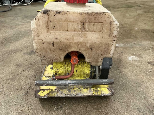 2009 ammann trilplaat - afbeelding 4 van  9