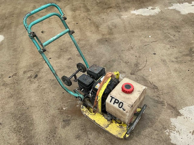 2009 ammann trilplaat - afbeelding 5 van  9