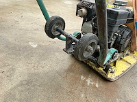 2009 ammann trilplaat - afbeelding 7 van  9