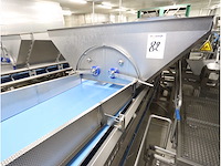 2009 innotec rvs bakken kantelaar (2x) - afbeelding 12 van  13